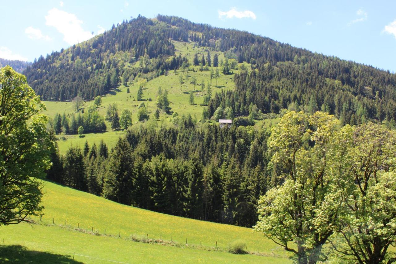 Zauneralm Aich  Bagian luar foto