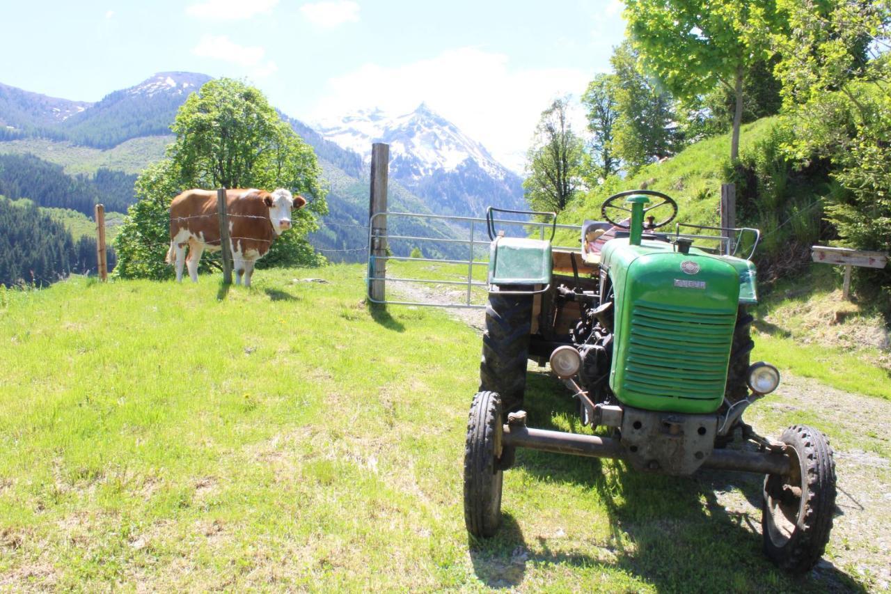 Zauneralm Aich  Bagian luar foto